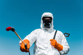 Best Termite Inspection and Treatment  in Killian, LA